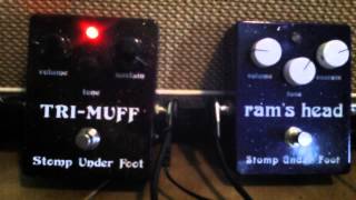 Video thumbnail for SUF Tri Muff & Ram's Head by elswan64