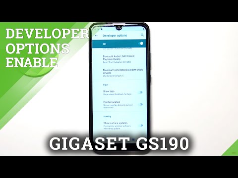 GIGASET GS190 and Phone Settings – Enter Developer Options