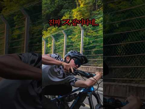 이 또한 고수만 가능함