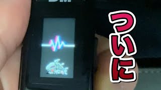 【バイタルウォッチ】シーラモンついに！