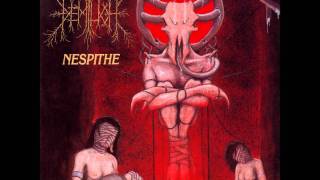 DEMILICH - The Echo (Replacement) [2009 re-issue]