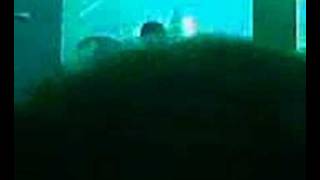 The Fratellis SECC - Everybody Knows You Cried Last Night