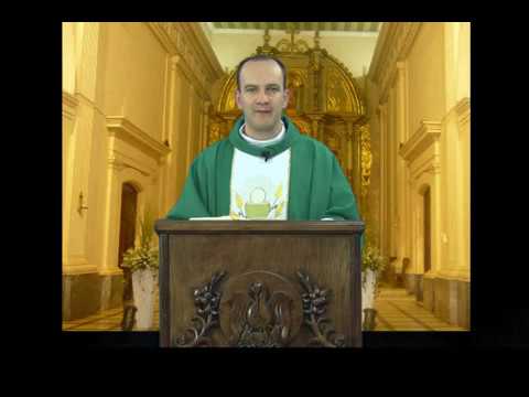 Homilia Dominical 27 Domingo del Tiempo Ordinario del Padre Valentim Pesente OFM CAP