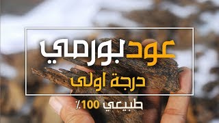 العود البورمي | عود درجة اولى