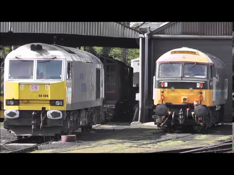 Silver 60066 - NVR Diesel Gala  - 10/04/16