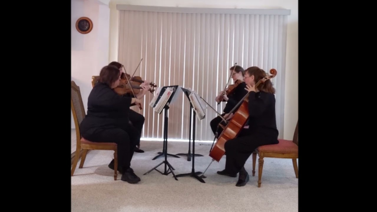Promotional video thumbnail 4 for Rondo String Quartet