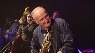 &quot;Mr. Rain&quot; - Blue Dogs