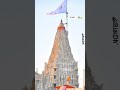 Short Shorts Dwarkadhish Jay Dwarkesh Status Trend Dwarkadhish Nu Status Ha Dwarkadhish Ka Deewana