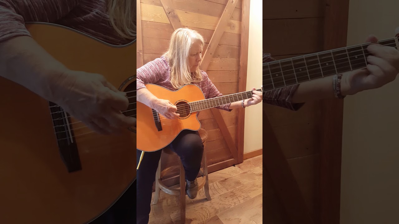 Promotional video thumbnail 4 for Dee Fleming, vocalist, guitarist, pianist