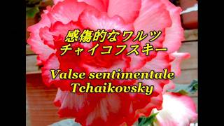 Download lagu (解説入り)'感傷的なワルツ' チャイコフスキー 'Valse sentimentale' Tchaikovsky mp3 Download lagu (解説入り)'感傷的なワルツ' チャイコフスキー 'Valse sentimentale' Tchaikovsky mp3