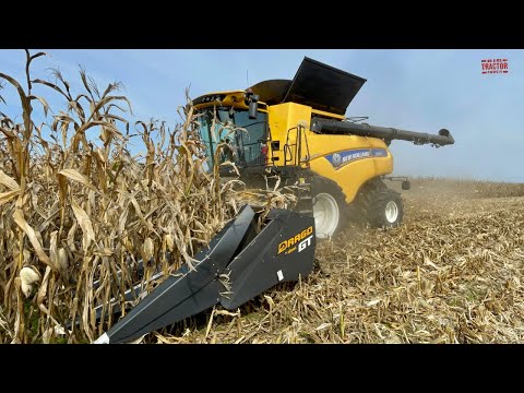 NEW HOLLAND CR 9.90 Combine Harvesting Corn