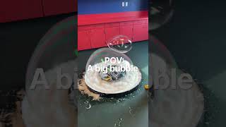 Download lagu This in a museum place: https://maps.app.goo.gl/YvcDU4PBf3BsZ1629?g_st=ic copy 👆into Google Maps mp3