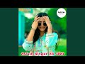Aslam Singer SR 3883