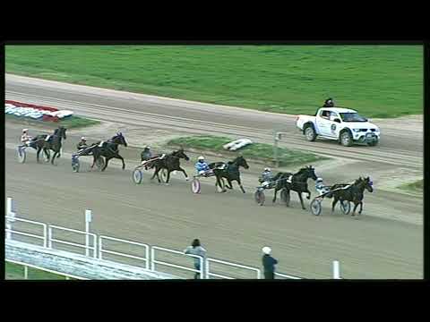 Trotto 15/11/2020 - 6ª corsa