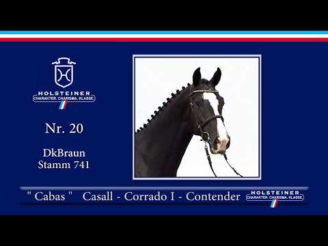 Holsteiner Körlot 2018 | Nr. 20 - CABAS v. Casall - Corrado I