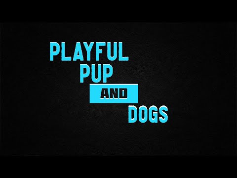 LIFE OF OUR PETS - EP 22 - Playful  learning and stealing treats
