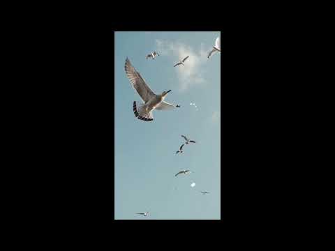 myn mair - ancient welsh  catholic