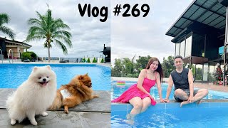 Vlog #269 - Nag swimming sila Peanut and Butter! Nagka Sakit after ng Staycation