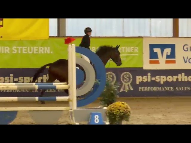 Indoor show (Sunday 11-10-2026) video Lanturano (Levi VDL x Canturano).