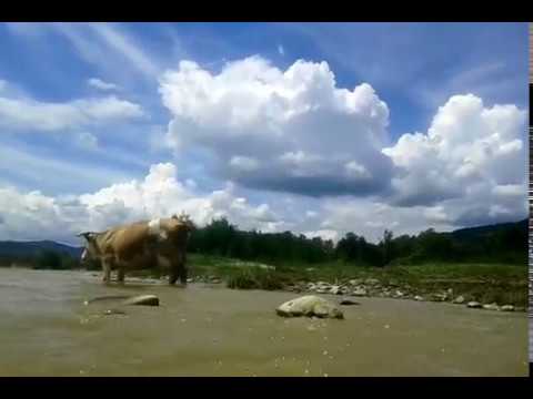 Buzau, Viperesti, 17 iunie 2018