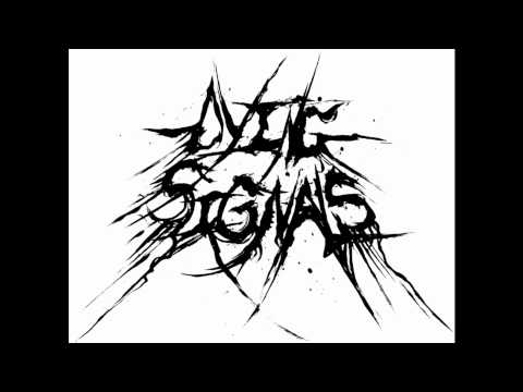 Dying Signals - Write A Revolution