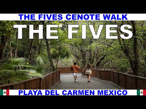 THE FIVES BEACH RESORT CENOTE WALK - LOTS OF WILD COATIS - PLAYA DEL CARMEN - MEXICO