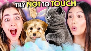 Try Not to Touch - Fluffiest Things! ft. @TheOneShu | React