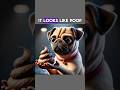 It Look Like Poop Dog Funny Funnyvideo