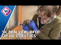 Wildopvang is weer open, vrijwilligers zijn dolblij