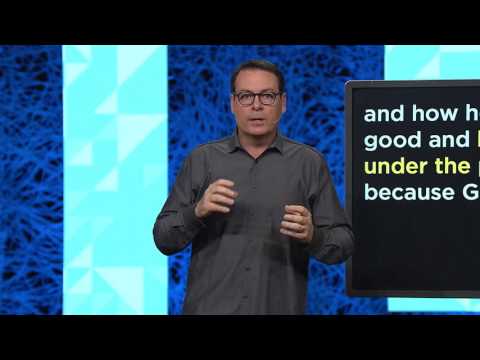 freedom week 10 2017