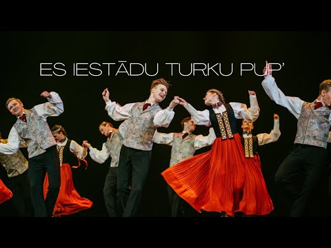LU TDA Dancis - Es iestādu turku pup'