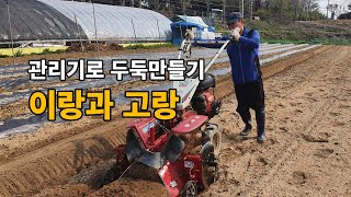 관리기를 이용해서 두둑만들기 / 이랑과 고랑 만들기 / 관리기 운전