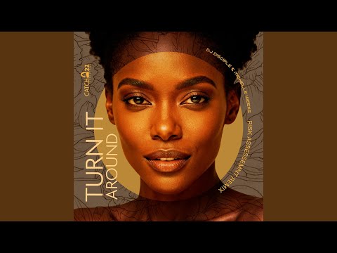 Turn It Around (Risk Assessment Remix)