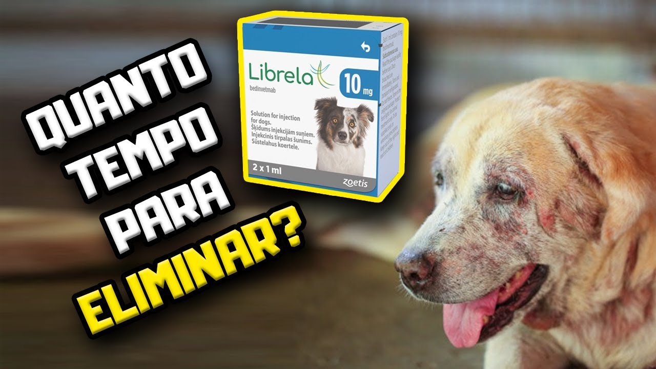 Librela: quanto tempo demora pro Cachorro ELIMINAR ele do corpo? | Dr. Edgard Gomes