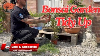 Bonsai Garden Tidy Up (2024)