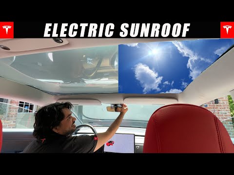 Video Thumbnail 1