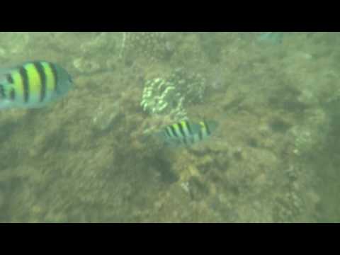 Pantai Timur Pangandaran