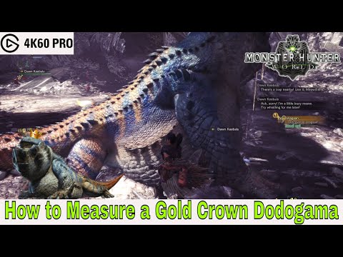 Monster Hunter: World - How to Measure a Gold Crown Dodogama Video