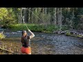 Thousands Drive Past This Stream And It S Untouched Trout Fishing Montana