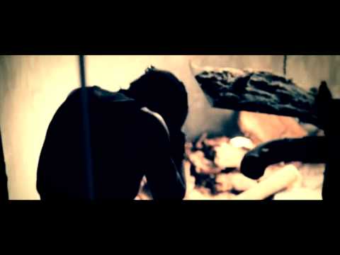 FREE MOMOLA (OFICIAL VIDEO)