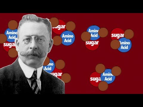 What Is the Maillard Reaction? - Instant Egghead #44