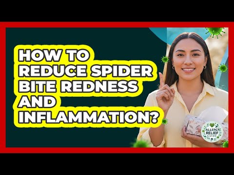 How To Reduce Spider Bite Redness And Inflammation? - Allergy Relief Guide