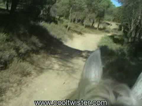 gefährlicher Ausritt, Reiter in Gefahr