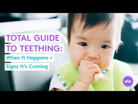 When Babies Start Teething: Signs Your Baby Is Teething, When It'll Happen + More - What to Expect