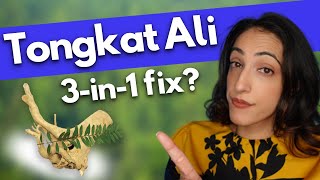 The holy grail for ED, Low T and Infertility?! | Tongkat Ali (Longjack) Benefits