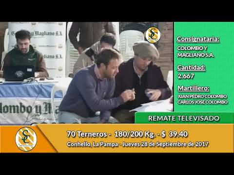28-09-17 - Remate Televisado de Colombo y Magliano - La Pampa