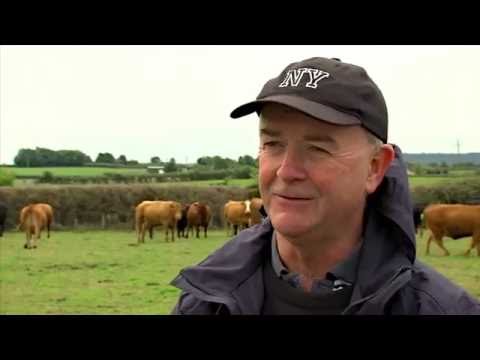 Abkalbe-Ruf - Überblick: Der Moocall Abkalb Sensor