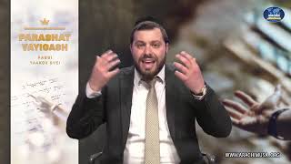 מהי ענווה?  דקה באנגלית עם הרב יעקב שוויי - פרשת ויגש Short and sweet With RABBI YAAKOV SVEI
