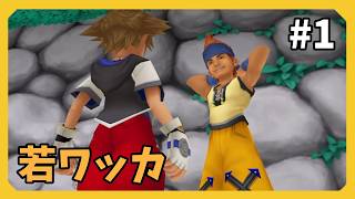 【キングダムハーツ】夢の国へ行くpart1