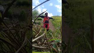 jalur xtrem bulan jaya